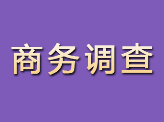 武陵源商务调查